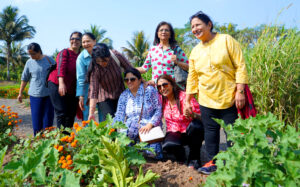 Pawar Agro Resort hurda party one day picnic corporate trip resort